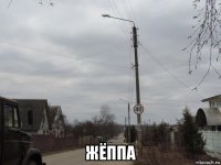  жёппа
