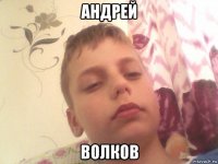 андрей волков
