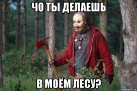 чо ты делаешь в моём лесу?