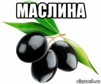 маслина 