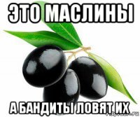 это маслины а бандиты ловят их