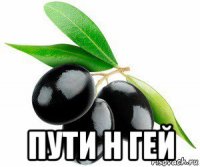  пути н гей