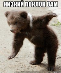 низкий поклон вам 