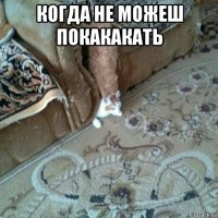 когда не можеш покакакать 