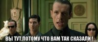  вы тут,потому что вам так сказали !