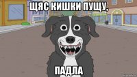 щяс кишки пущу, падла