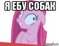 я ебу собак 