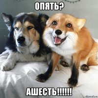 опять? ашесть!!!!!!