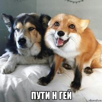  пути н гей
