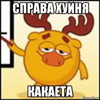 справа хуйня какаета