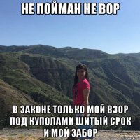 не пойман не вор в законе только мой взор под куполами шитый срок и мой забор