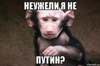 неужели я не путин?