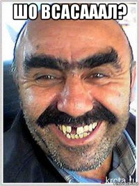 шо всасааал? 