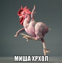  миша хрхол