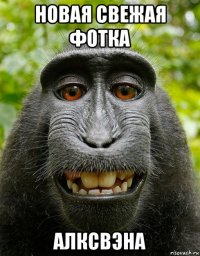 новая свежая фотка алксвэна