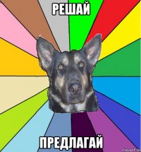 решай предлагай