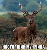  настоящий мужчина