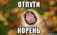 отпути корень