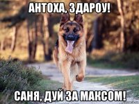 антоха, здароу! саня, дуй за максом!