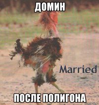 домин после полигона