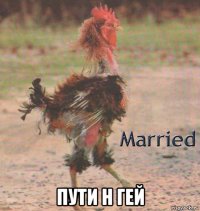  пути н гей