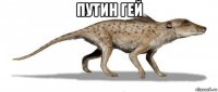 путин гей 