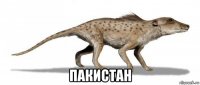  пакистан