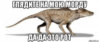 глядите на мою морду да да это рот