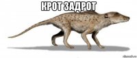 крот задрот 