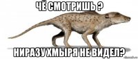чё смотришь ? ниразу хмыря не видел?