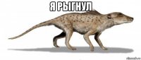 я рыгнул 