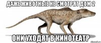 даже животные не смотрят дом 2 они уходят в кинотеатр