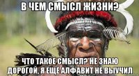 в чем смысл жизни? что такое смысл? не знаю дорогой, я ещё алфавит не выучил