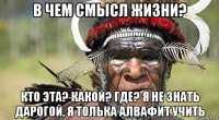 в чем смысл жизни? кто эта? какой? где? я не знать дарогой, я толька алвафит учить