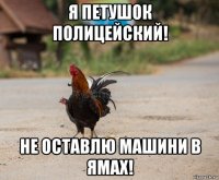 я петушок полицейский! не оставлю машини в ямах!
