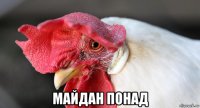  майдан понад