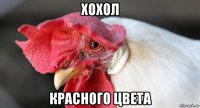хохол красного цвета