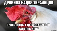 дривния нация украинцив произошла о дреивних укров. кацапов нема