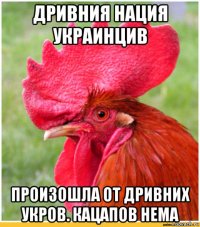 дривния нация украинцив произошла от дривних укров. кацапов нема