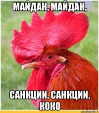 майдан, майдан, санкции, санкции, коко