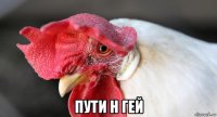  пути н гей
