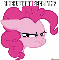 я ненавижу весь мир 