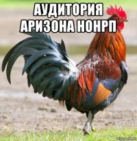 аудитория аризона нонрп 