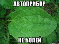 автоприбор не болей