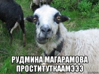  рудмина магарамова проституткаамэээ