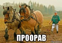  проорав
