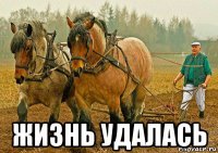  жизнь удалась