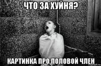 что за хуйня? картинка про половой член