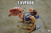 т кур800 