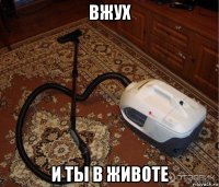 вжух и ты в животе